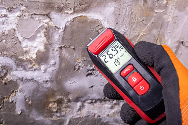 Best Mold Testing  in Rkville, PA