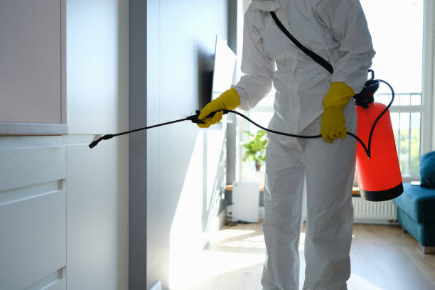 Mold Removal Process in Parkville, PA